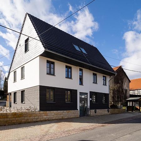 Neues Ferienhaus Kurort Gohrisch Buitenkant foto