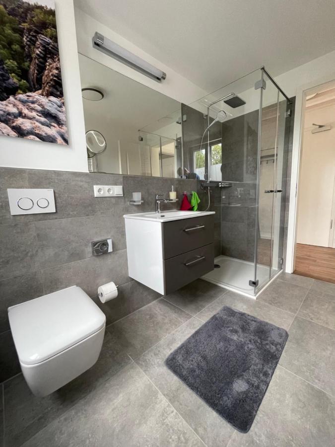 Neues Ferienhaus Kurort Gohrisch Buitenkant foto